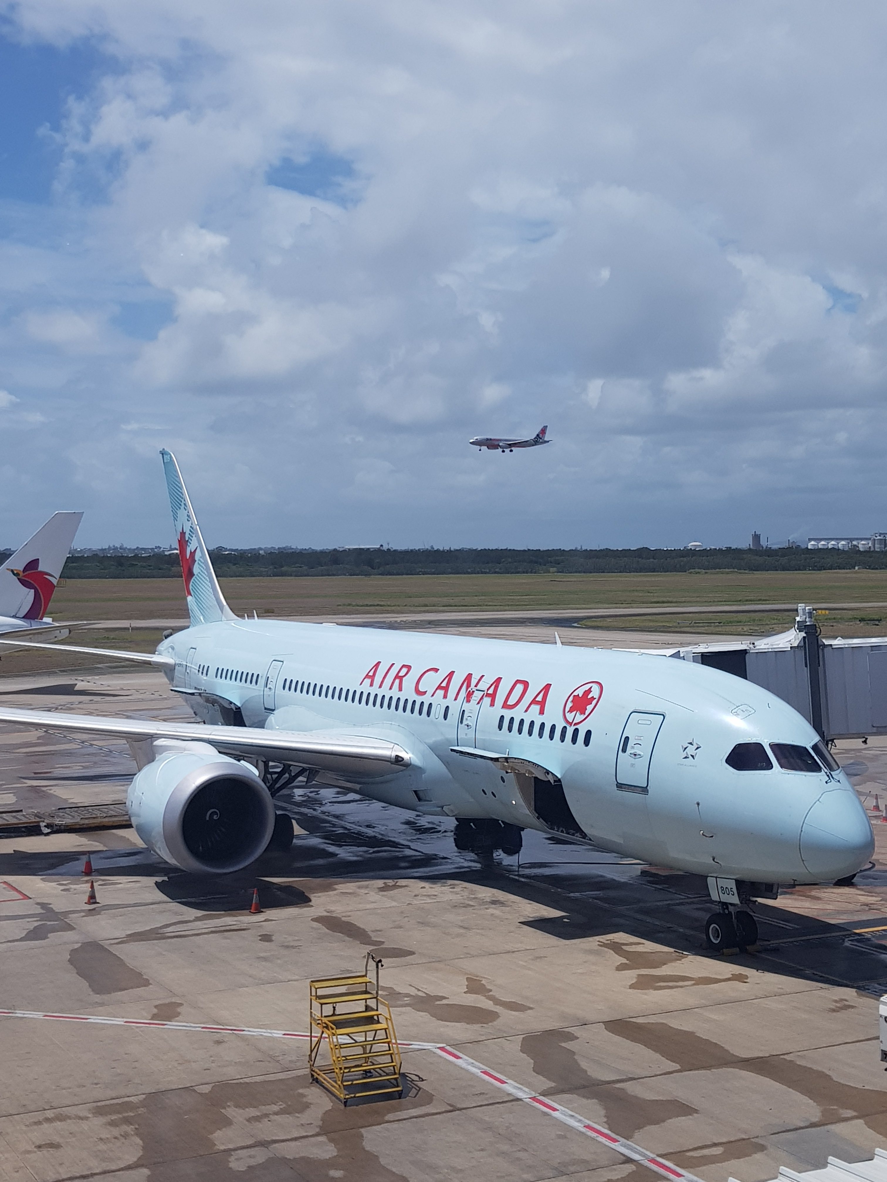 Air Canada Customer Reviews SKYTRAX
