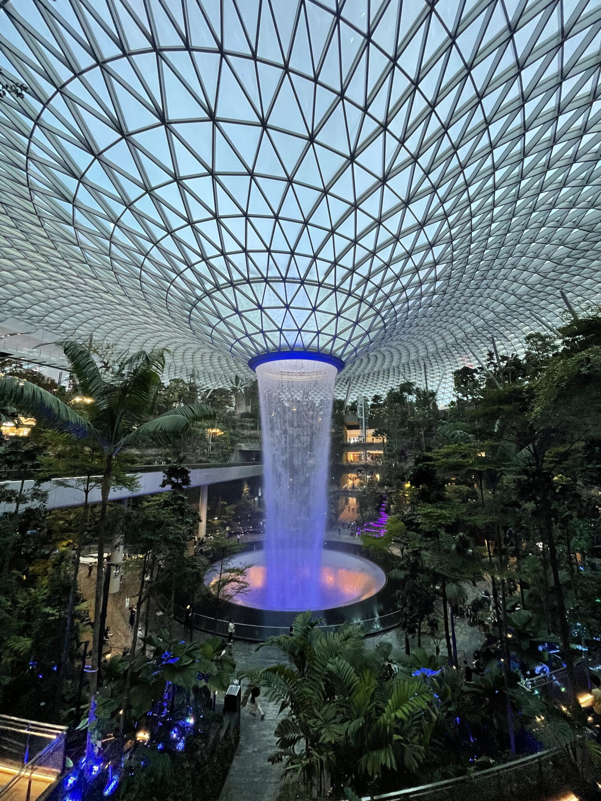 Singapore Changi Airport Customer Reviews - SKYTRAX