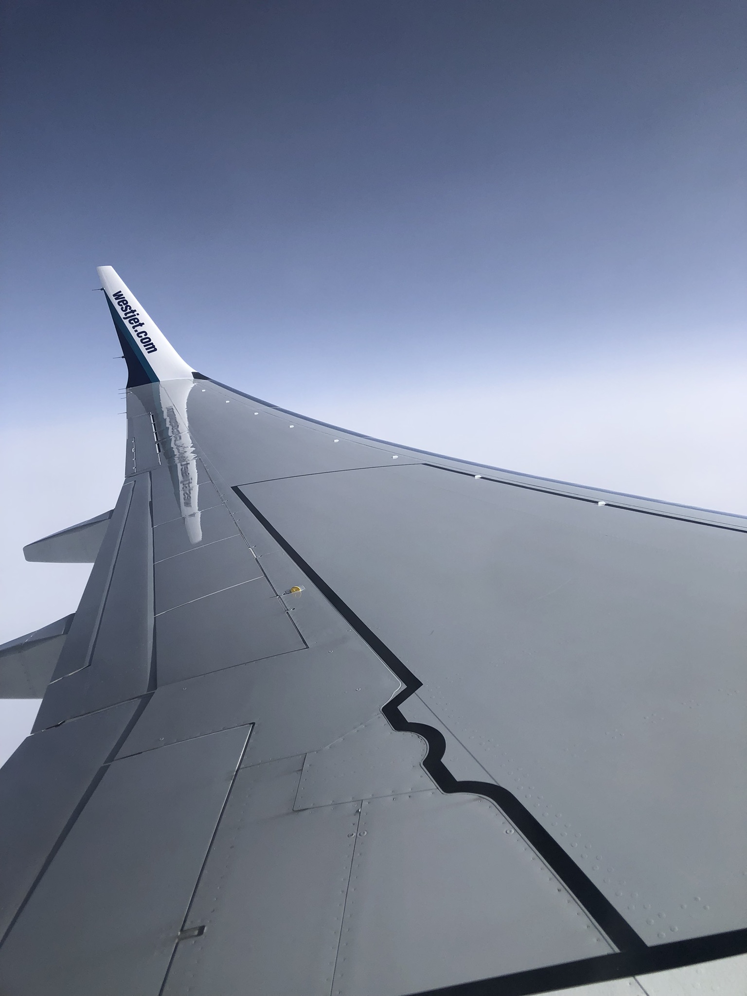 WestJet Airlines: A Comprehensive Review of my Experience [2023] — Beyond  The Bay