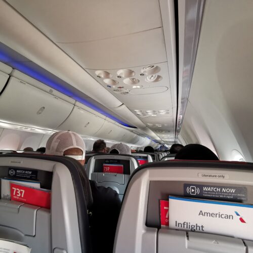 American Airlines Domestic First B737-800 Las Vegas to Dallas review -  Turning left for less